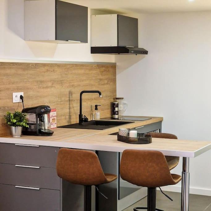 圣艾蒂安Grand Loft Avec Terrasse Privee公寓 外观 照片